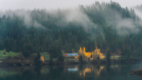 semi hauling an amazon relay trailer in autumn PNW.png